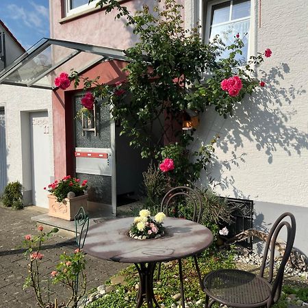 Schoene Wohnung, Bodenseenaehe Ravensburg Kültér fotó