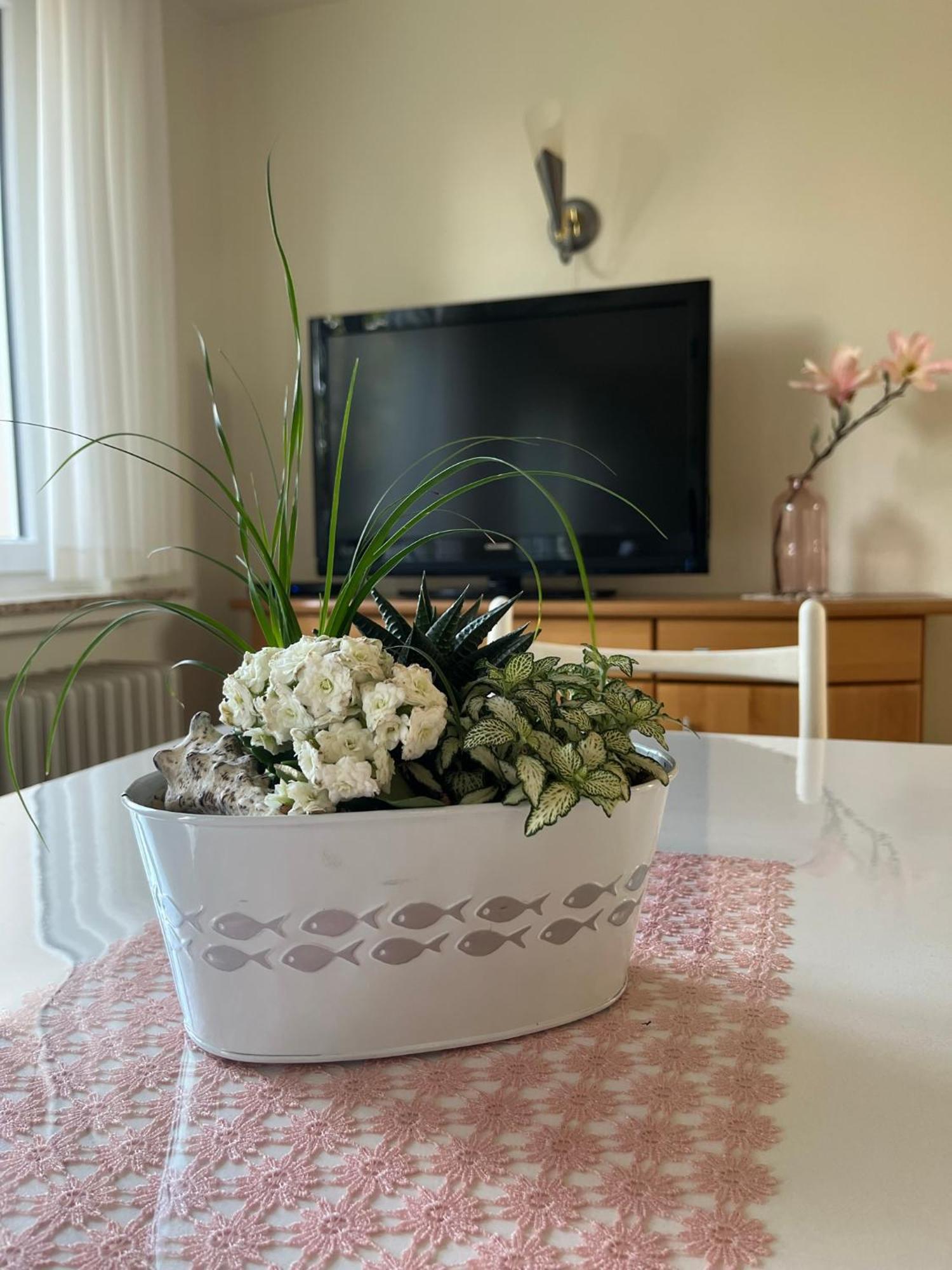 Schoene Wohnung, Bodenseenaehe Ravensburg Kültér fotó