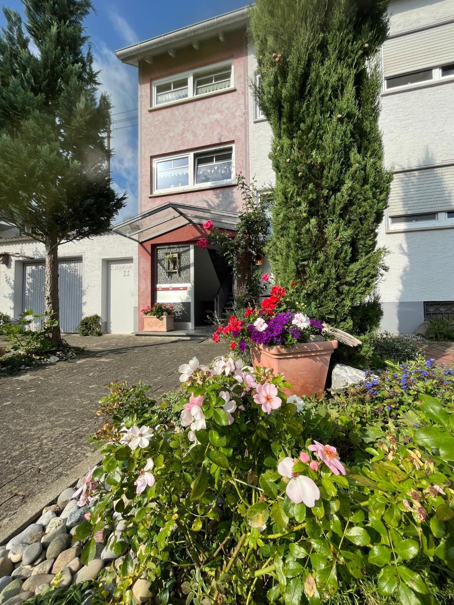 Schoene Wohnung, Bodenseenaehe Ravensburg Kültér fotó